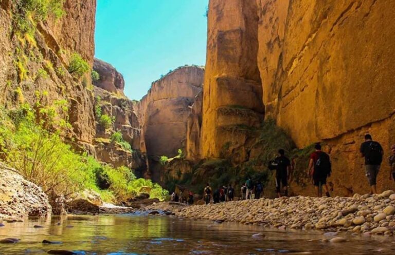 توبیرون-عکس-از-آرش-وفایی